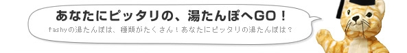 あなたにピッタリの湯たんぽへGO！